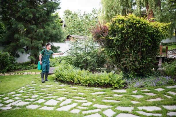 How Our Tree Care Process Works  in  Lynwood, CA